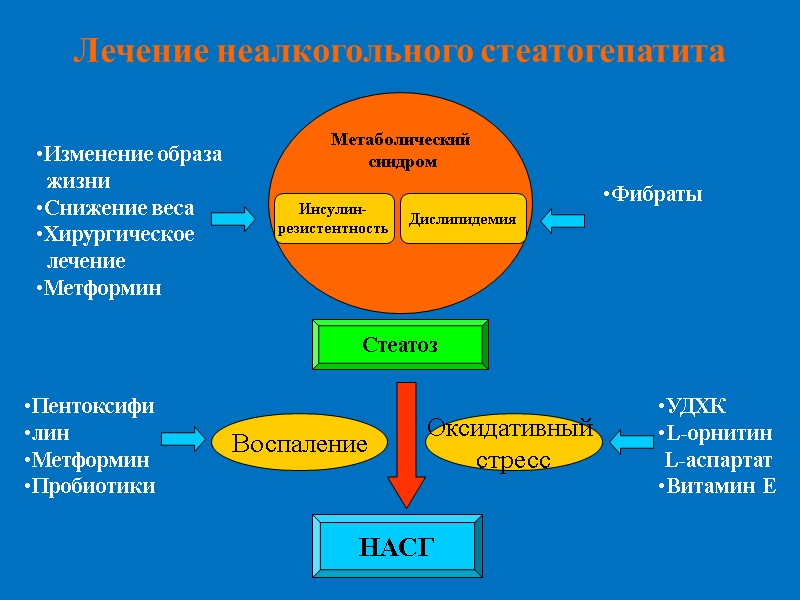 Лечение неалкогольного стеатогепатита  Метаболический  синдром Инсулин- резистентность Дислипидемия Стеатоз Воспаление Оксидативный 